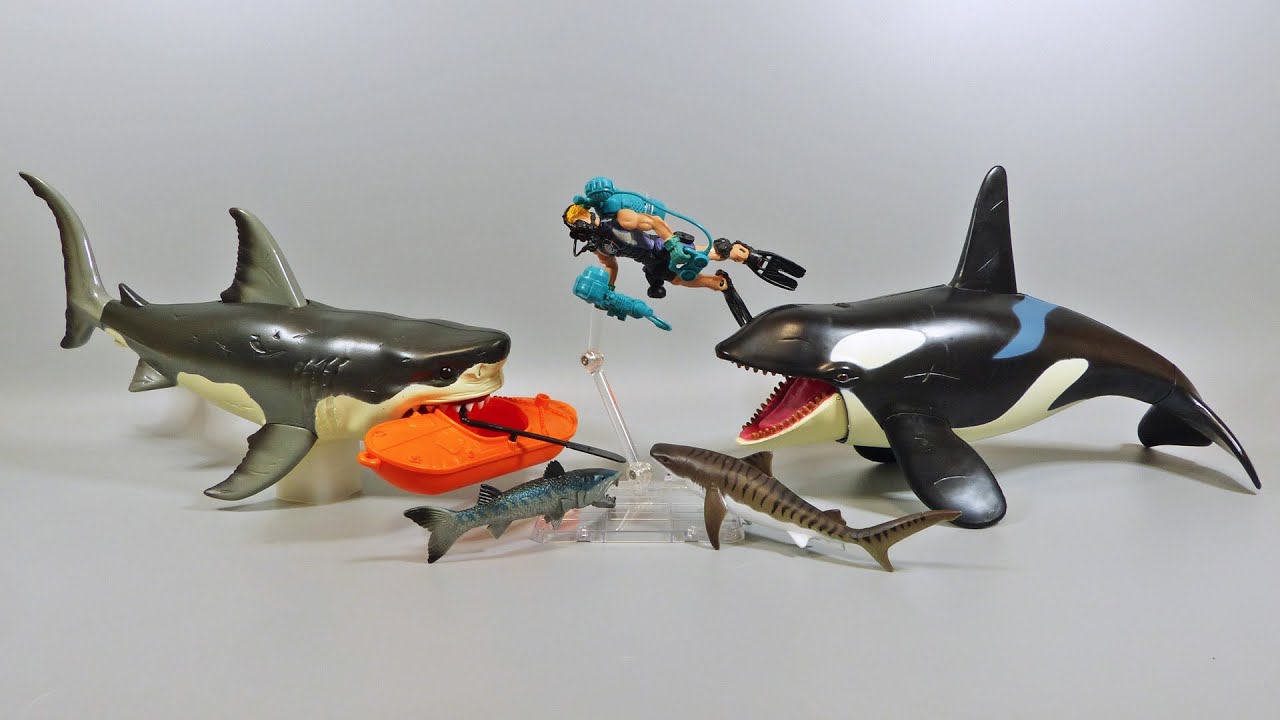 サメ玩具】巨大ホホジロザメvsシャチ！海の最強ライバル決定戦が
