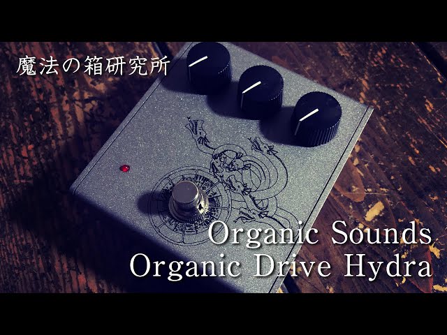 Organic Sounds Organic Drive Hydra（ヒュドラ） with Roland JC-40