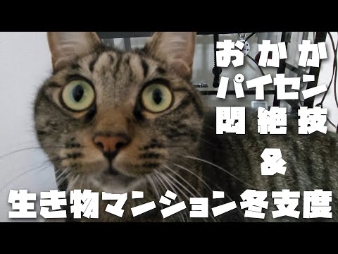 hqdefault.jpg?v=6554cbc1