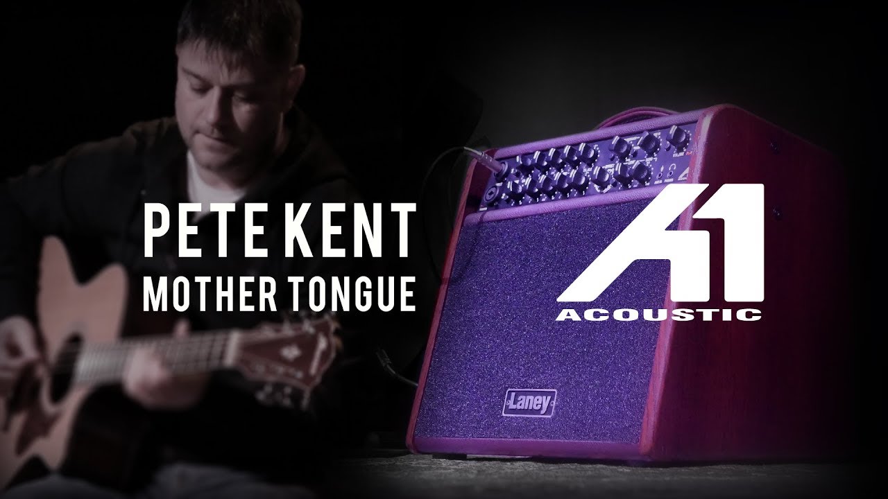 Laney ( レイニー ) A-1 アコースティックギター用アンプ 送料無料