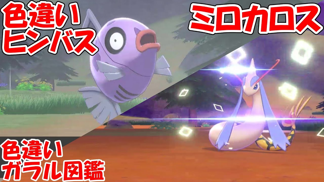 ポケモン剣盾】ヒンバス・ミロカロス色厳選（少しだけ3DSもあるよ