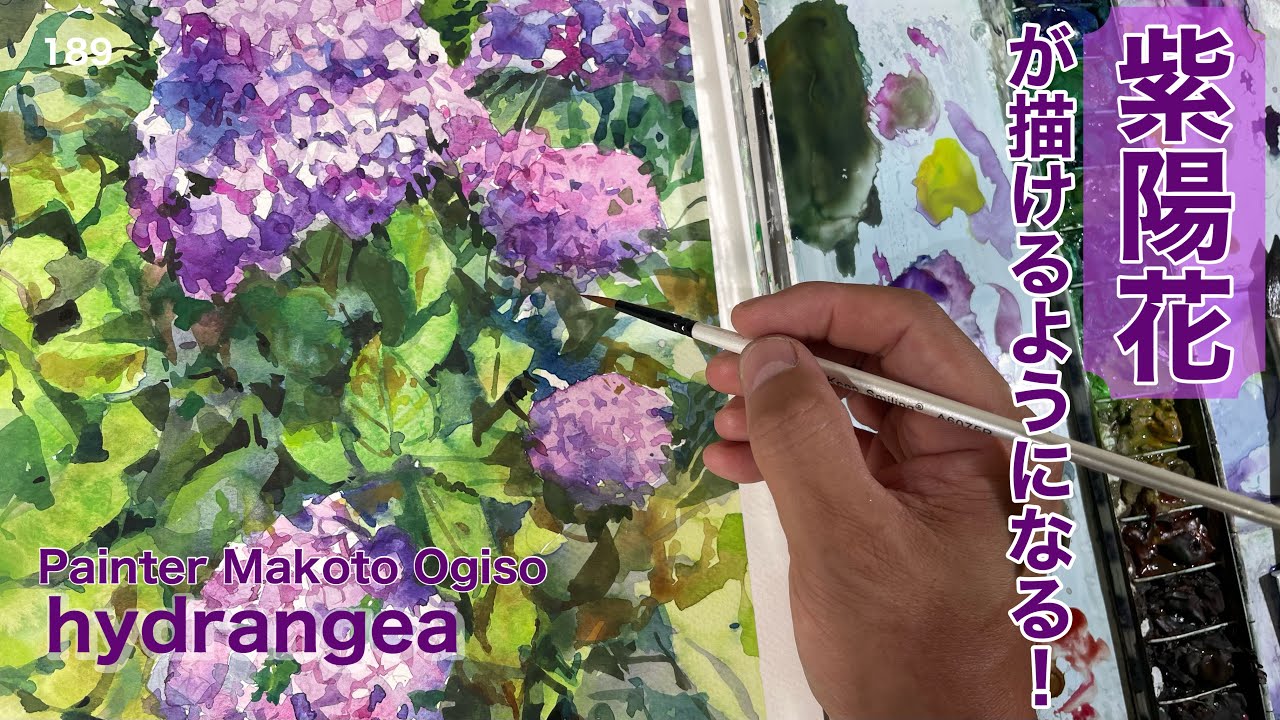 189/アジサイを描く（初心者向け） - YouTube