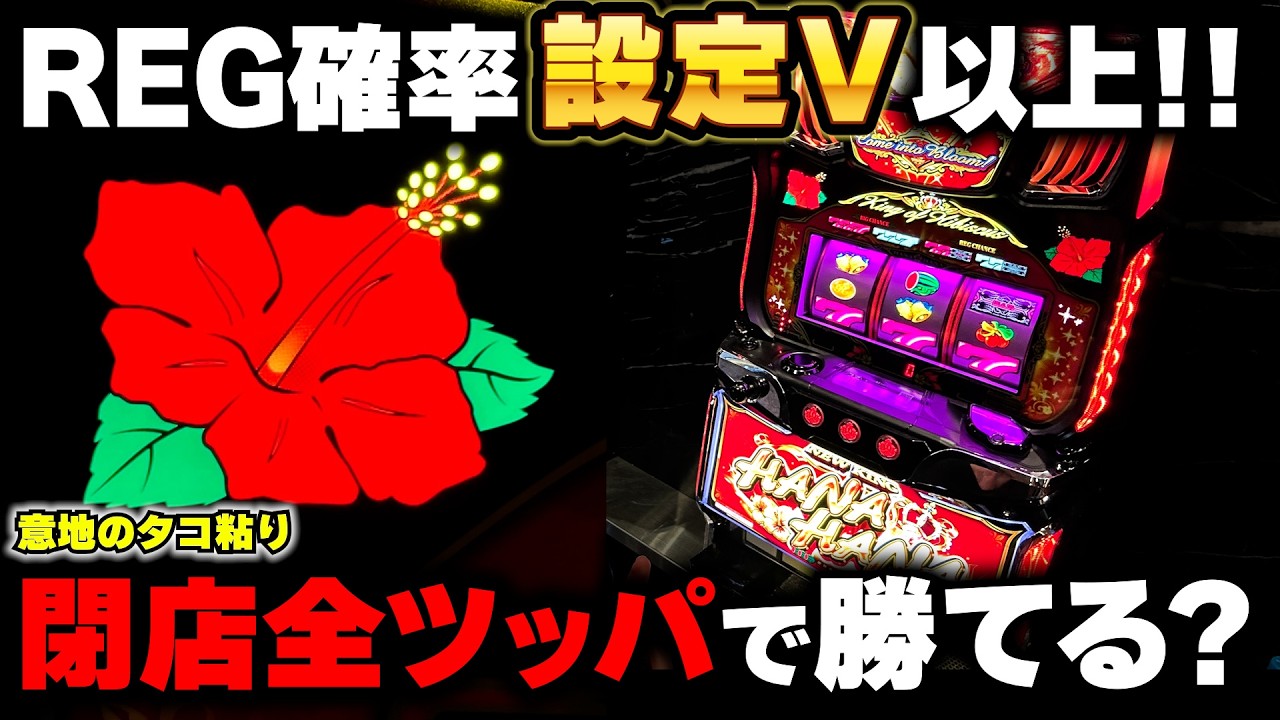 New King Hana Hana] Everything is perfect except for the BIG