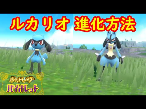 リオル → ルカリオ やすらぎのすず】特殊進化方法 アイテム入手方法