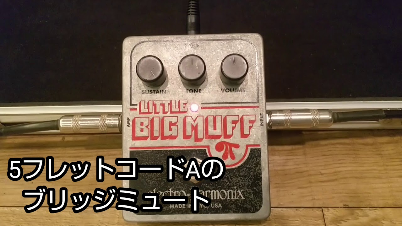 ELECTRO-HARMONIX LITTLE BIG MUFFの音 【エフェクター FUZZ】 - YouTube