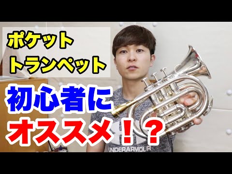 ポケットトランペット】初心者にオススメ！？解説してみた！【trumpet