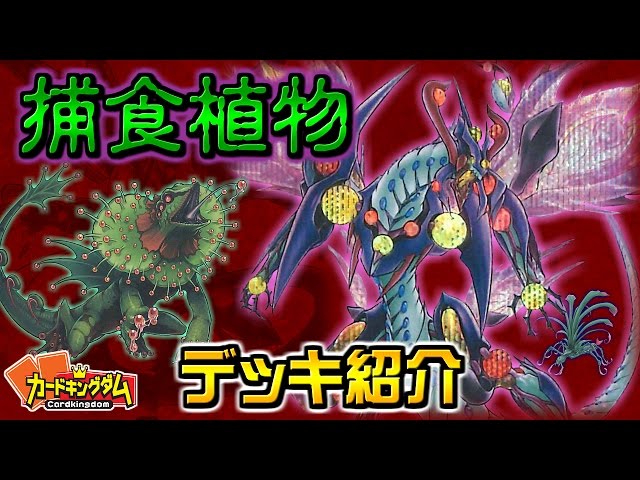 遊戯王】ユーリonジャッカル 捕食植物デッキ紹介 裏CKCUP 第4試合