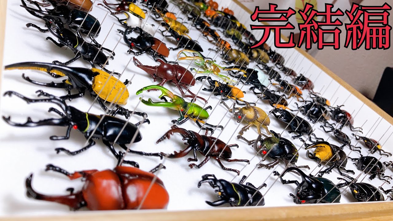 ムシキング】甲虫図鑑のフィギュアがフルコンプしたので標本にして飾っ