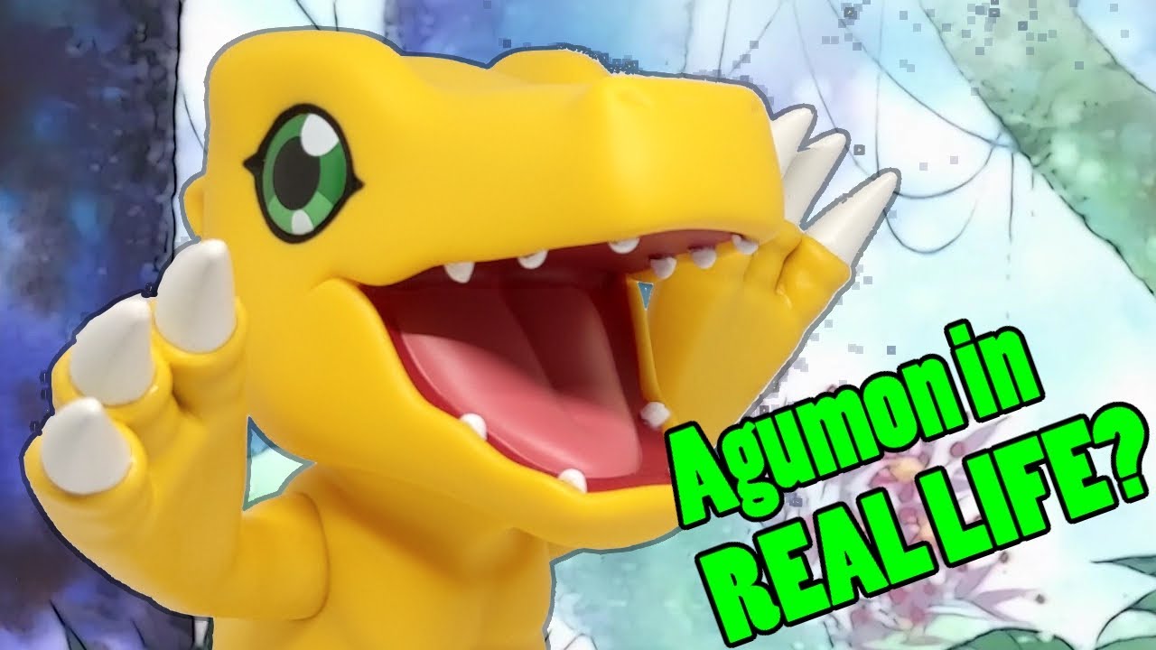 HUGE Agumon Figure and Other Cool Digimon Collectibles - YouTube