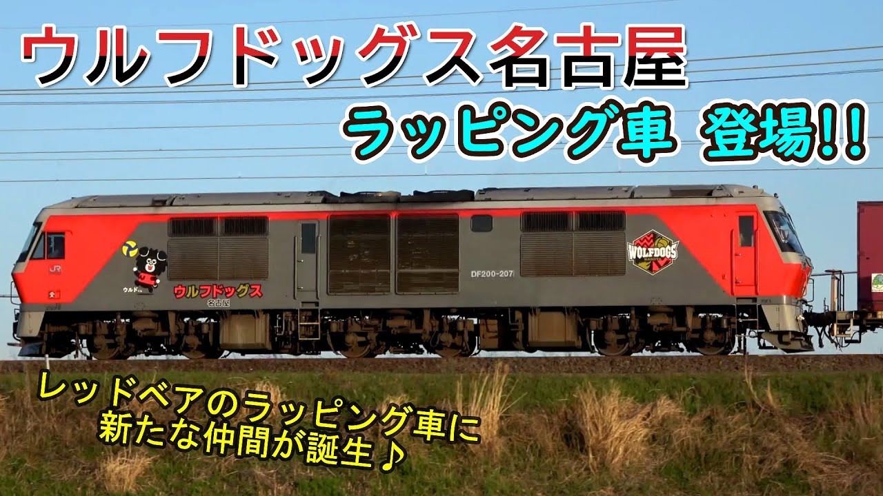 ウルフドッグス名古屋 ラッピング車」 DF200 207号機 【ウルド号