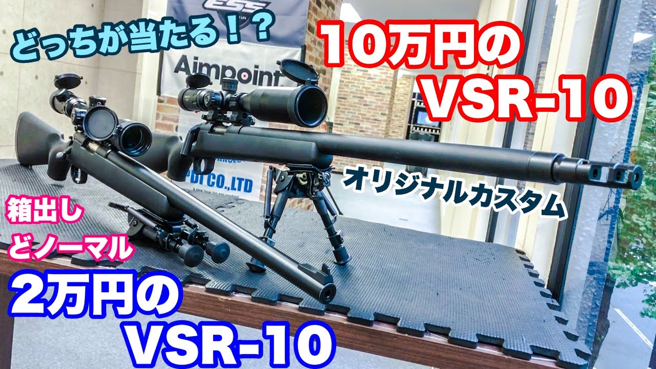 Custom VSR-10 vs. Standard VSR-10: Which one will be better