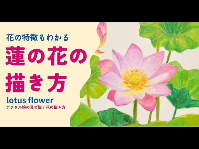 アクリル絵の具で描く 蓮の花の描き方 - YouTube