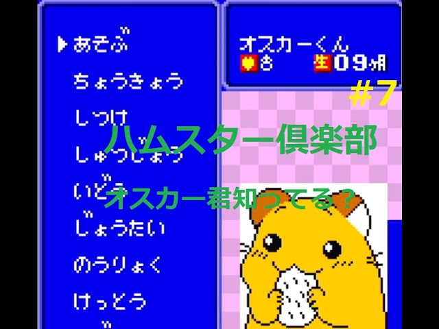 GB] 久しぶりの『ハムスター倶楽部』クリアを目指して Part7 - YouTube