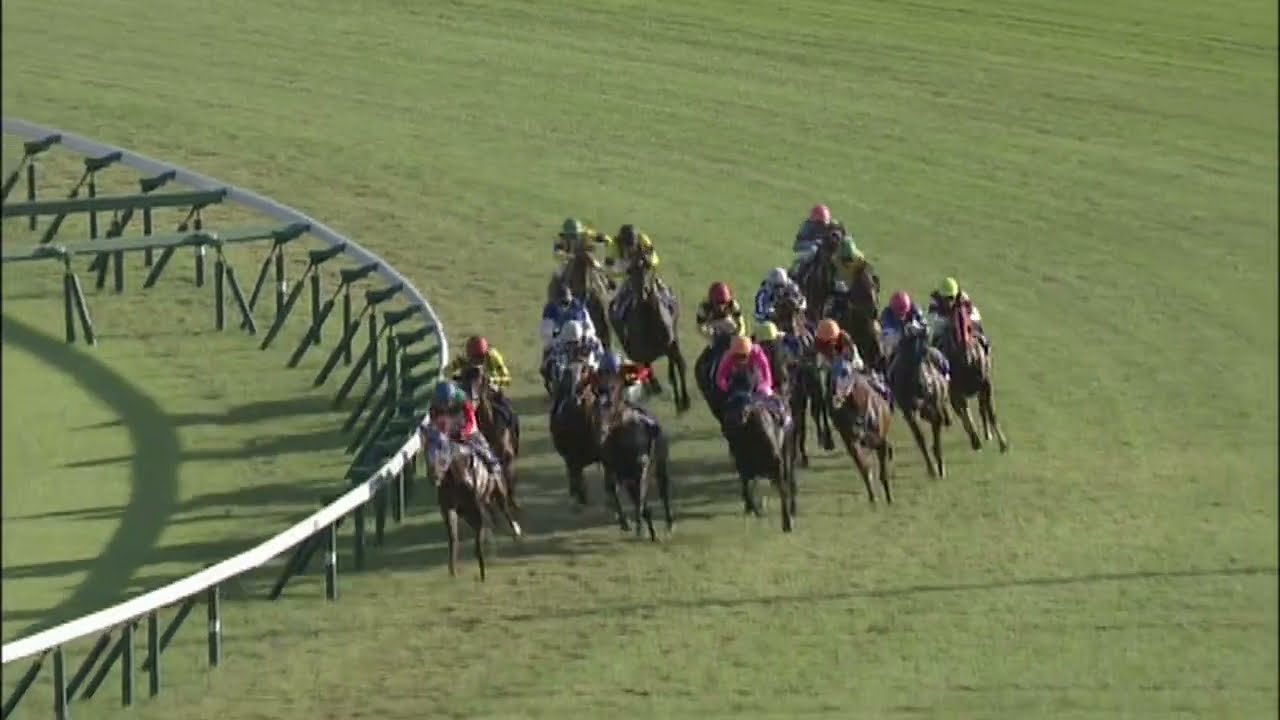 2013年スプリンターズステークス ロードカナロア - YouTube