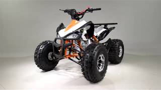 Tao New Cheetah XR ATV - FamilyGoKarts.com