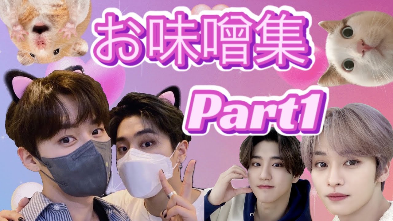 味噌集 パート1 リノ ハン minsung【 StrayKids 스트레이키즈 日本語