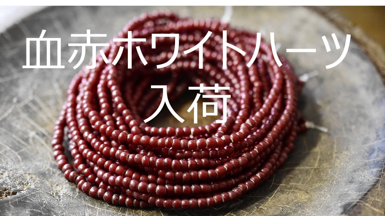 血赤ホワイトハーツ入荷！ - YouTube