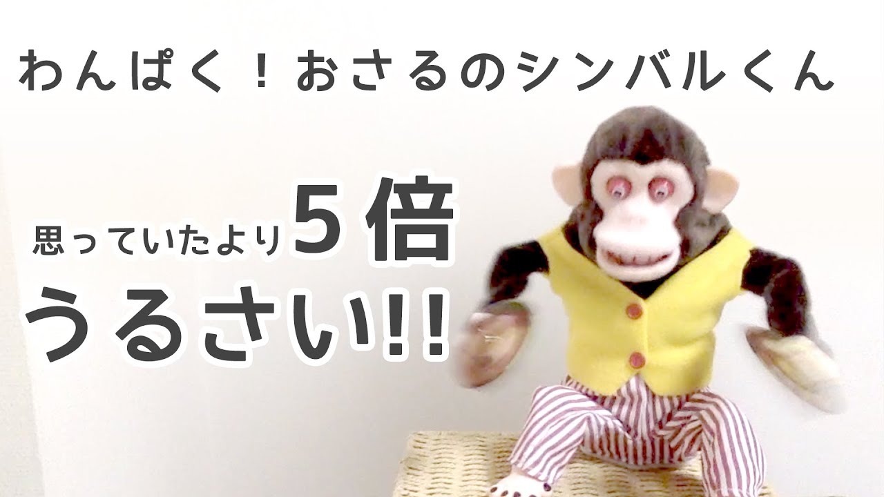 わんぱく！おさるのシンバルくん 思っていたより5倍うるさい！ - YouTube