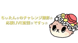 ちぃたん⭐︎チャレンジ応援LIVE配信ですっ⭐︎ - YouTube