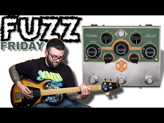 Beetronics Royal Jelly | FUZZ FRIDAY EP. XII - YouTube