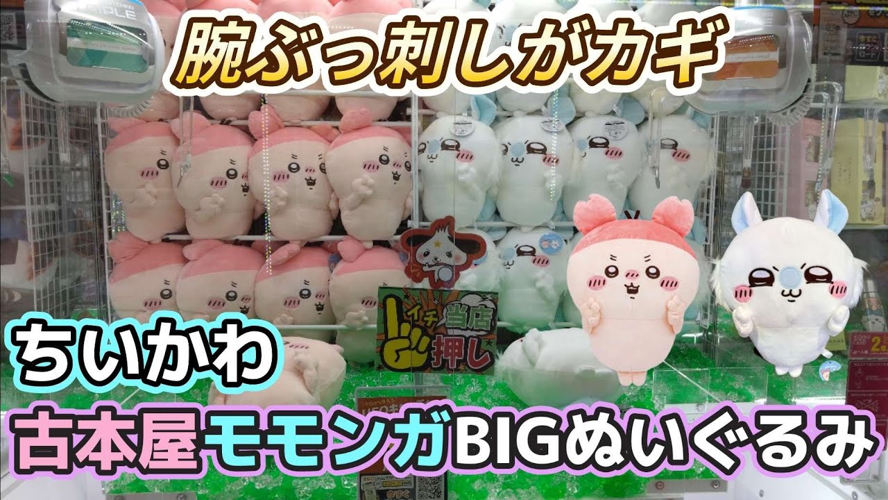 ちいかわ古本屋・モモンガBIGぬいぐるみ☆今回は気合い入れて