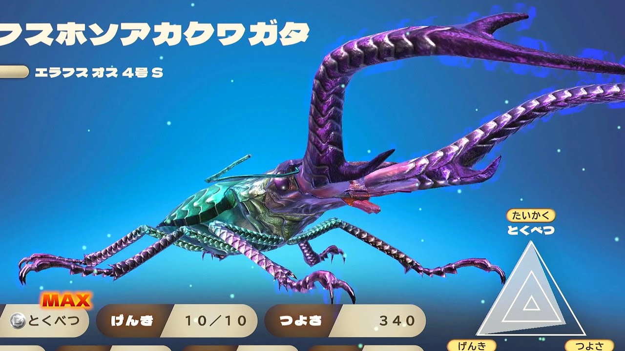 カブトクワガタ - 邪龍エラフスホソアカクワガタ 新世代甲虫王者