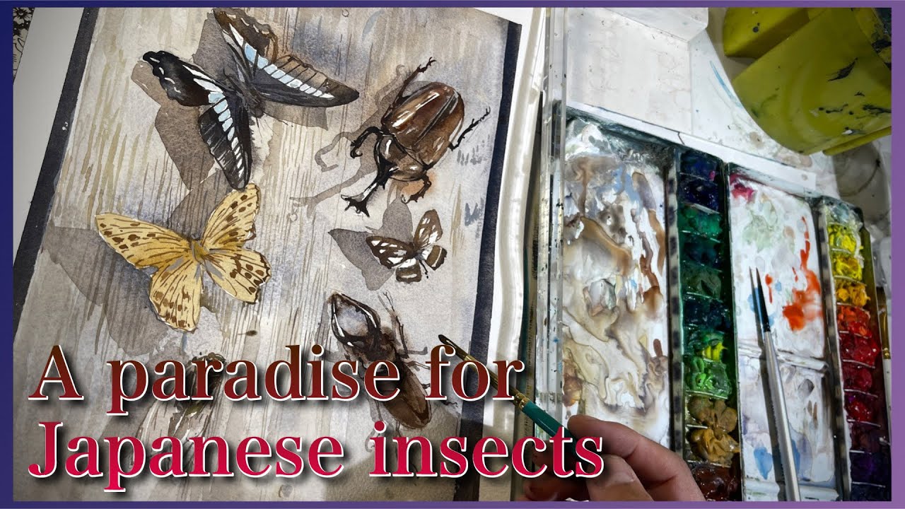 341【初心者向け】蝶を描く！ - YouTube