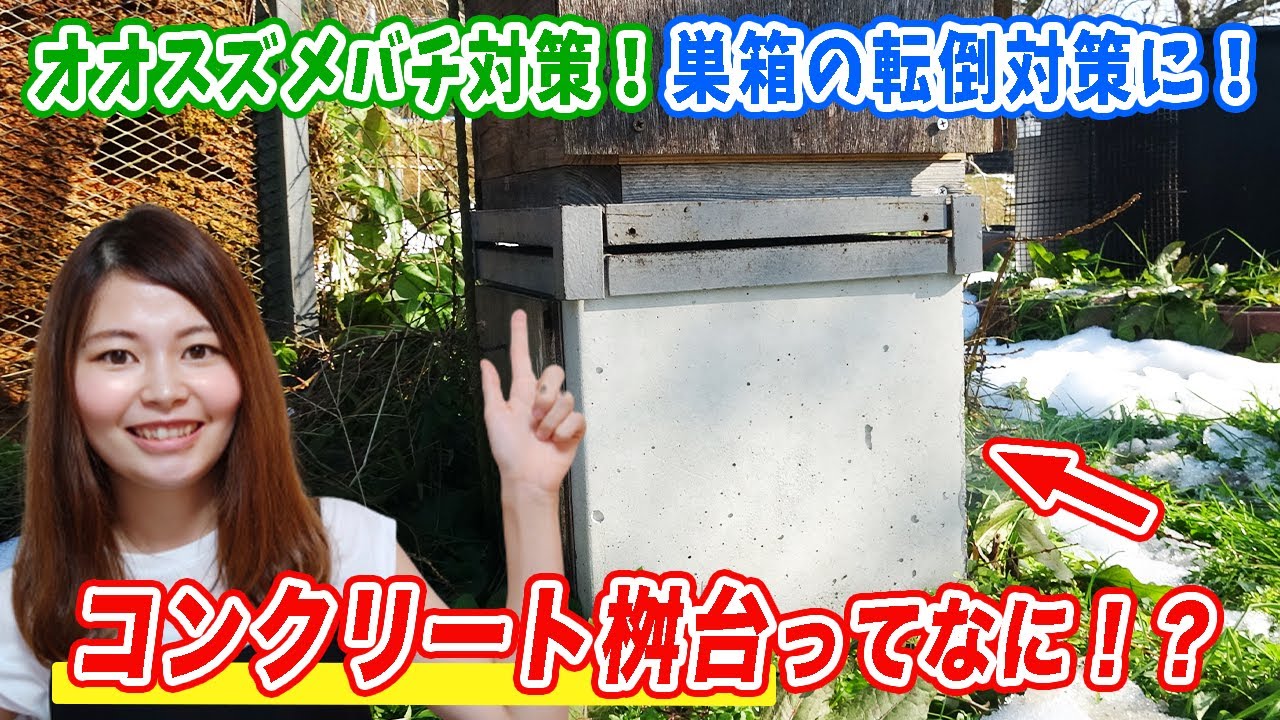 コンクリート桝台紹介】ニホンミツバチ重箱式巣箱の台にオススメ