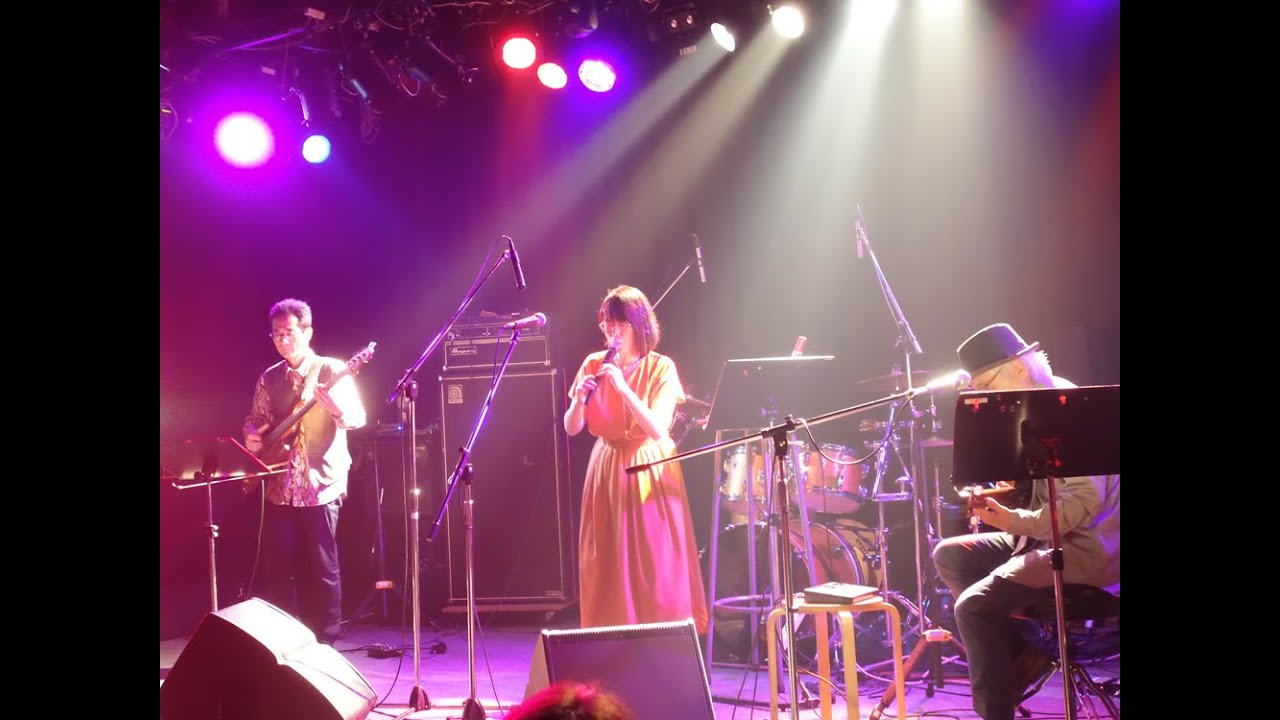 TAHORNG（タホーン）・モバイルGM 音源モジュール・PIANO ENGINE