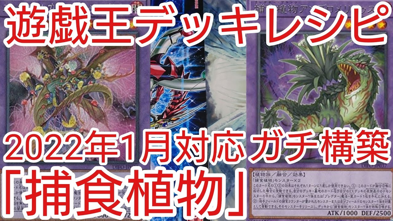 遊戯王 デッキレシピ】2022年1月対応「捕食植物」ガチ構築 - YouTube