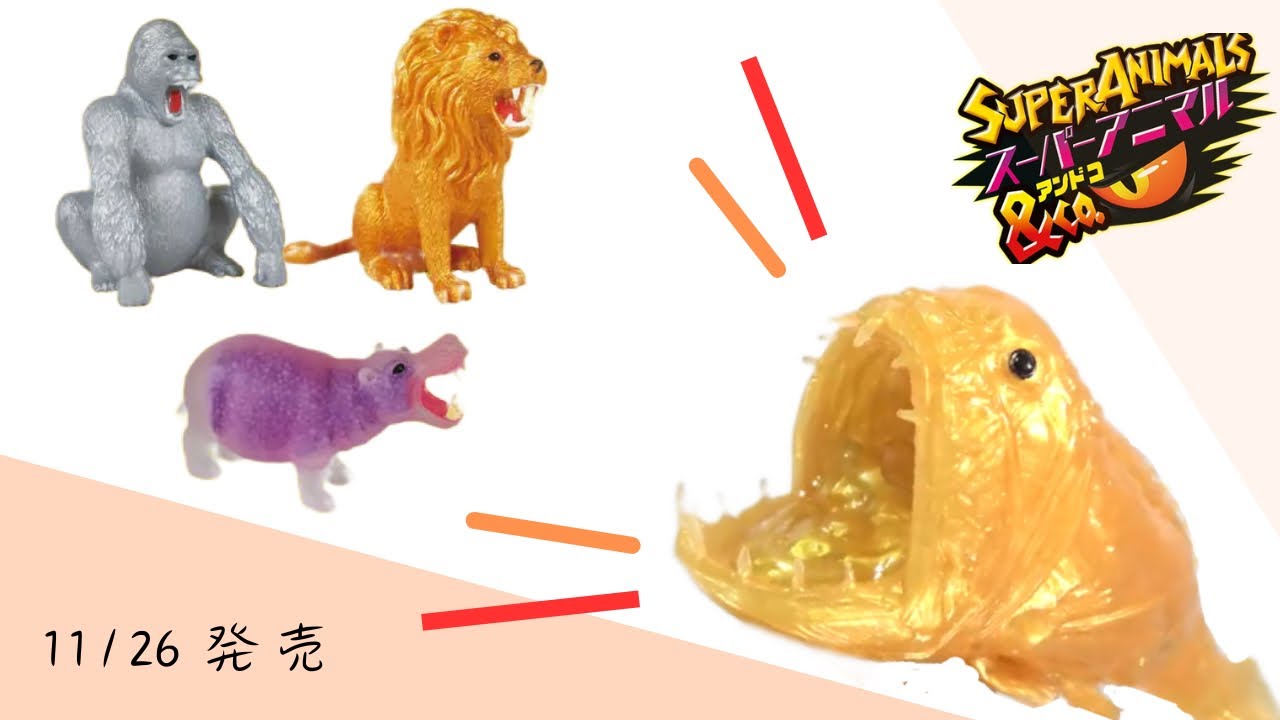予告）スーパーアニマル&co 全種類紹介！ - YouTube