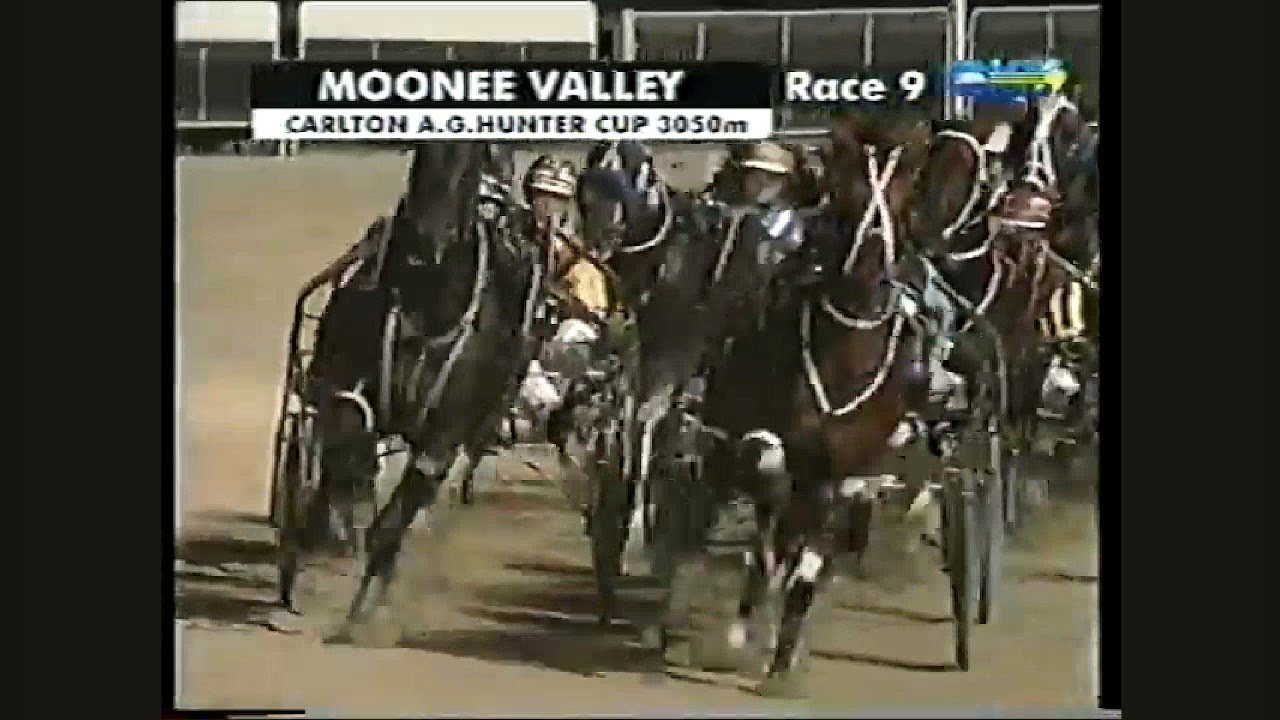 2003 AG Hunter Cup (Group 1) 3050M Moonee Valley : Mont Denver