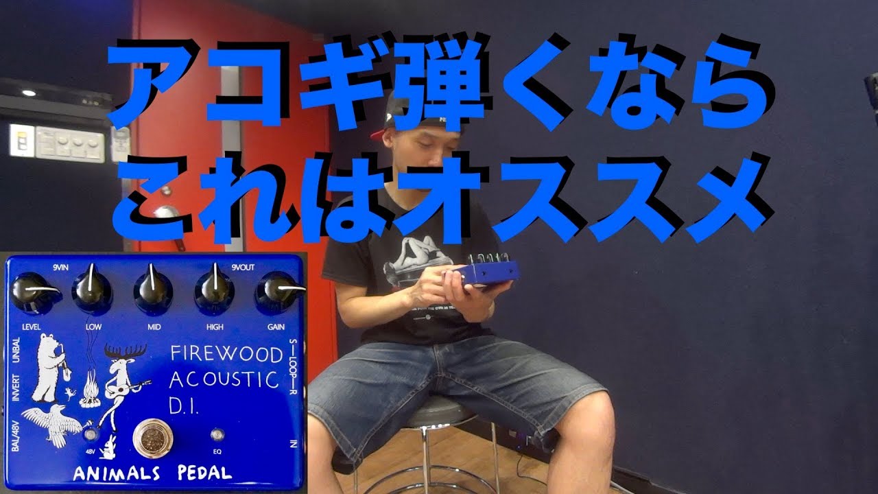 3/5(木)16:00までエフェクターポーチ付属】Animals Pedal Firewood