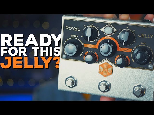 YOUR WHOLE DRIVE SECTION IN ONE BOX! Beetronics Royal Jelly (Demo