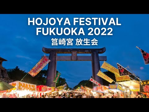 hqdefault.jpg?v=631ddd82