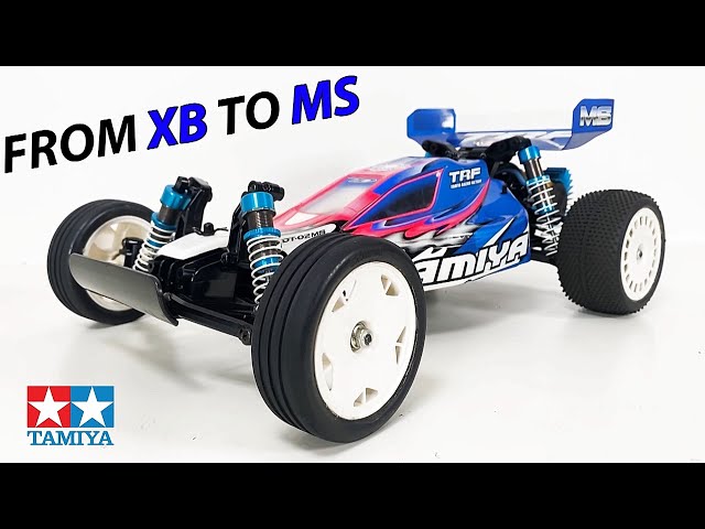 Tamiya DT-02 - XB or MS? (Satoshi Maezumi TRF Upgrade) - YouTube
