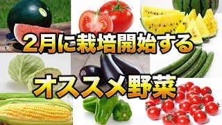 Preparation is important] Start growing your summer vegetable