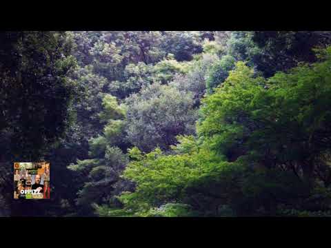 Beethoven : Piano Concerto in D, Op.61 / Oppitz 1996 - YouTube