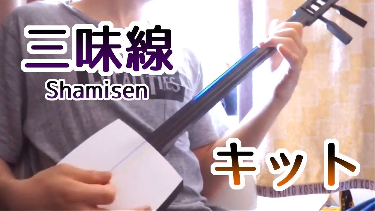 手作り三味線キット】小じゃみチントン弾いてみた DIY Shamisen Kit