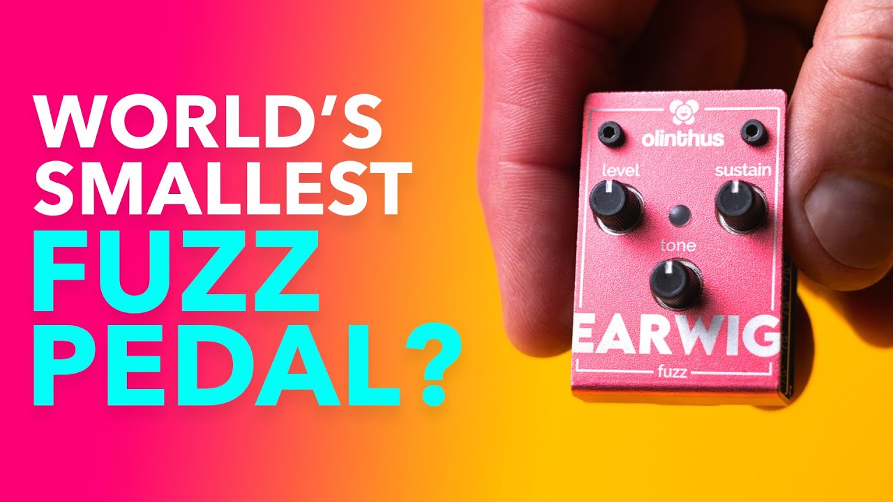 The World's Smallest Fuzz Pedal??? Olinthus Earwig Fuzz! - YouTube