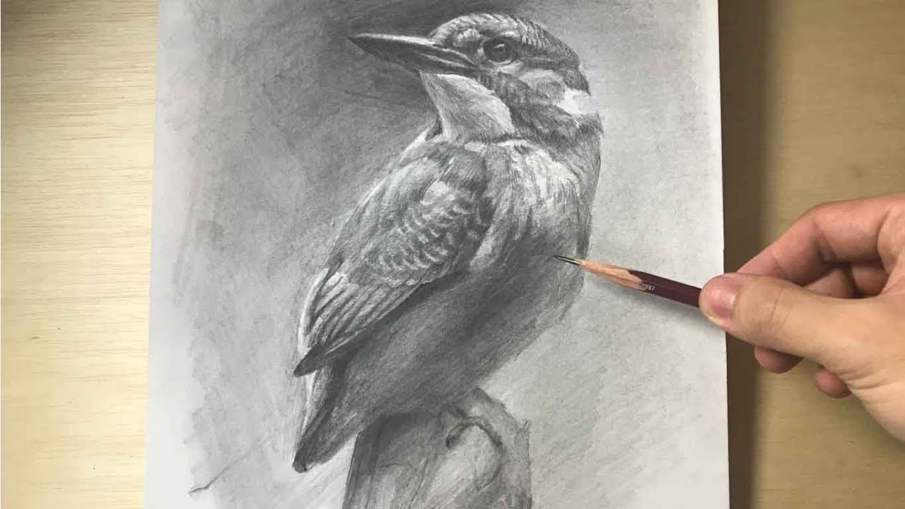 119【生配信】東京芸大生が描く鳥 デッサン drawing - YouTube