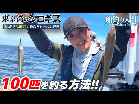 Shirogis fishing on a boat] Great fishing! How to capture kisses