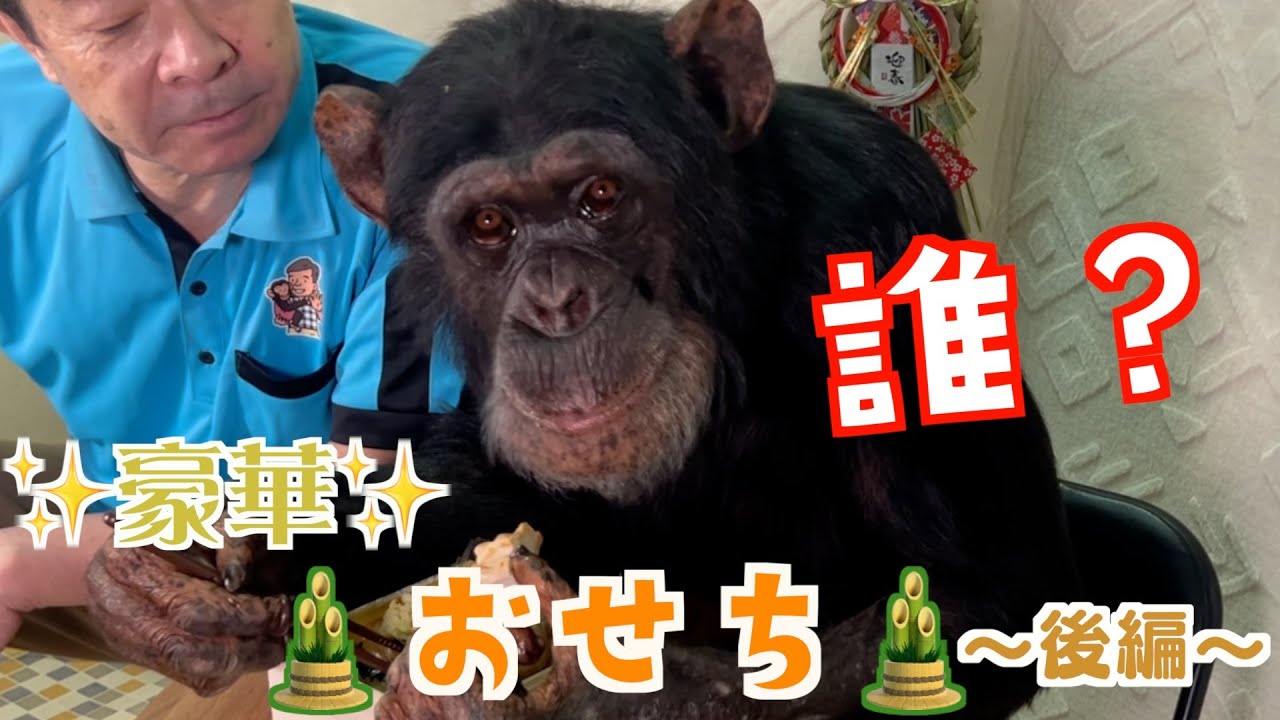 天才！チンパンジーパンくん】2025年🎍お正月🎍は「豪華✨三段重おせち