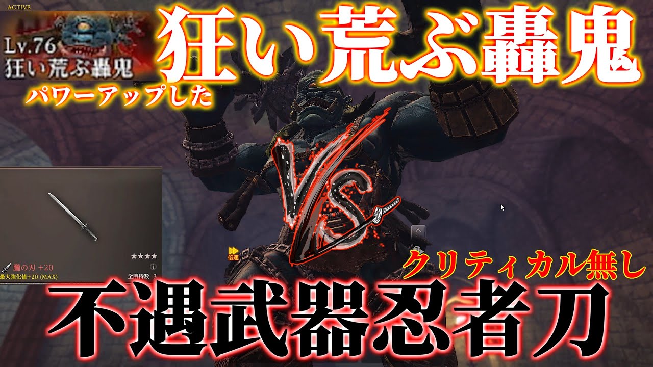 Solo] Ninja Sword vs. the Mad and Wild Todoroki [With Daphne