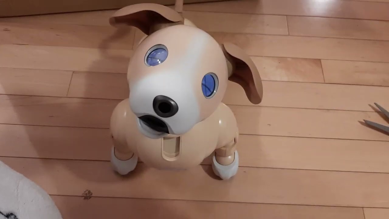 Aibo ERS 1000 2024 kinako edition: first boot - YouTube