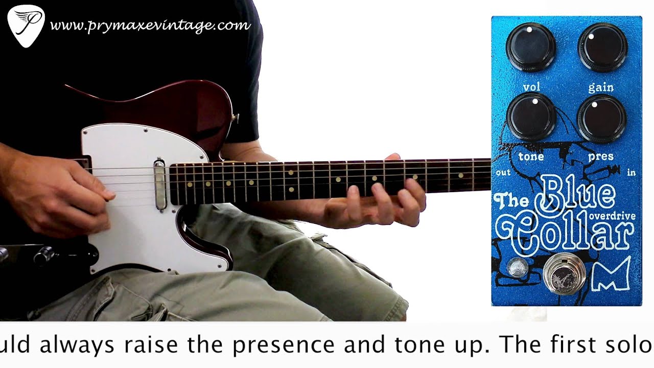 Menatone The Fish Factory」 エフェクターレビュー！ | 魔法の箱研究