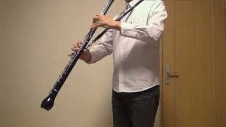 星に願いを （イングリッシュホルン） - YouTube