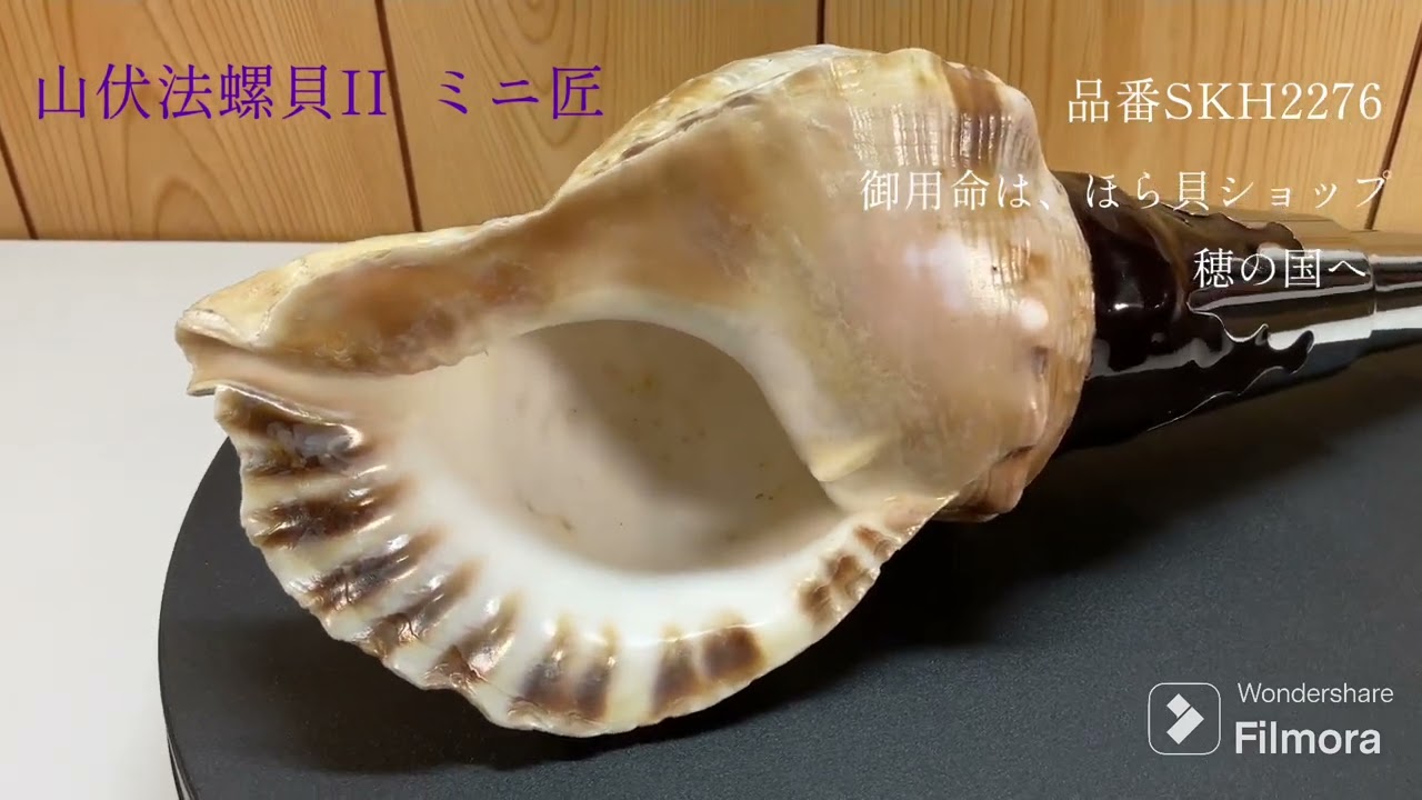 山伏法螺貝II ミニ匠ほら貝ホラ貝- YouTube
