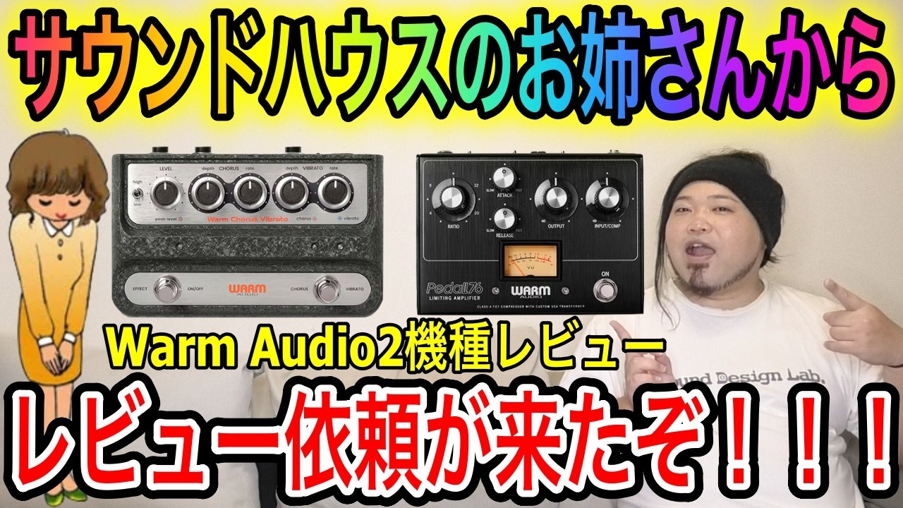 WARM AUDIO ( ウォームオーディオ ) WA-C1 Warm Chorus Vibrato 送料