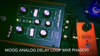 moogerfooger MF-104 & moog MF-104M Analog Delayをレビュー